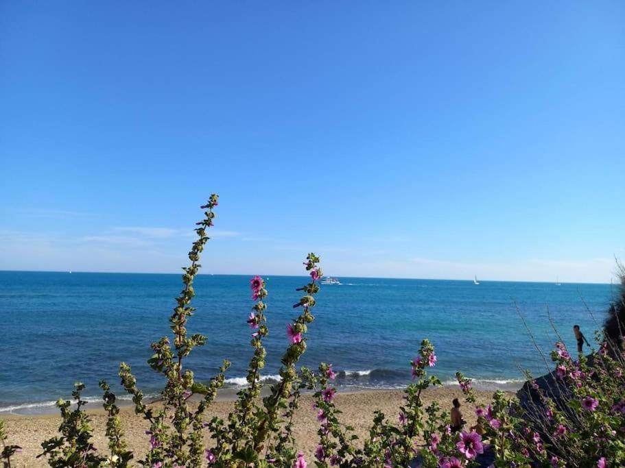 Studio Port Du Cap D'Агд Екстер'єр фото